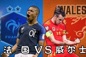 亚博-Ning重要时刻重返赛场，法国队带队取胜！赛场气氛高涨的简单介绍